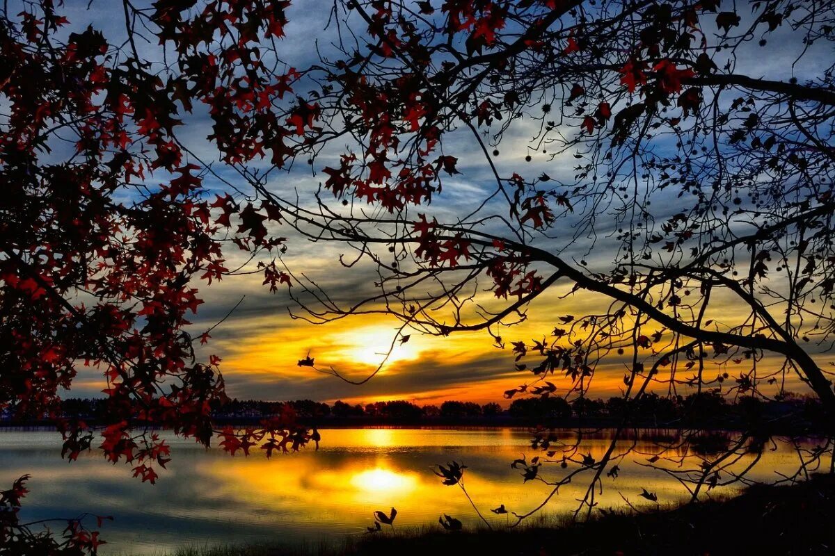 Цветная осень вечер. Сказочная осень. Цветная осень вечер. Осень вечер парк. Цветная осень вечер.