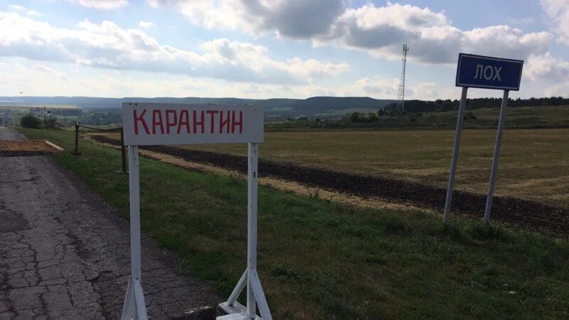 Как переводится село. Село лох Саратовская Саратовская область. Деревня лох Саратовская область. Лох село в Новобурасском районе Саратовской области. Лох деревня Саратов.