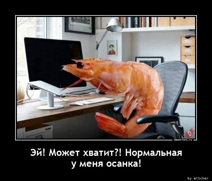 Достаточно нормально. Достаточно нормально