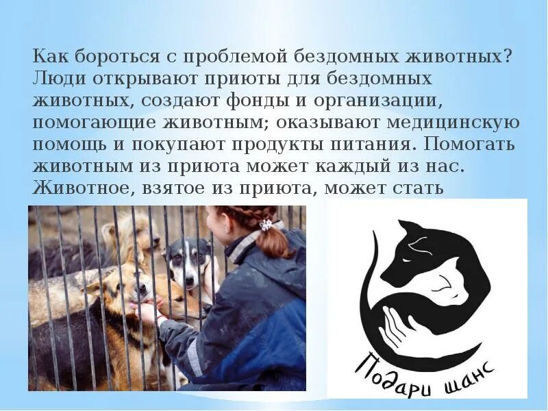 Борьба животных с людьми. Как бороться с бездомностью животных. борьба с безнадзорными животными. как бороться с бездомными животными. как бороться с проблемой беспризорных животных.