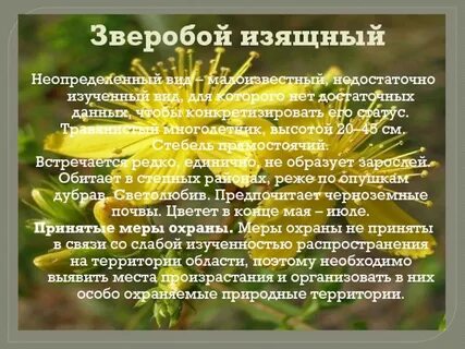 Растения исчезнувшие по вине человека