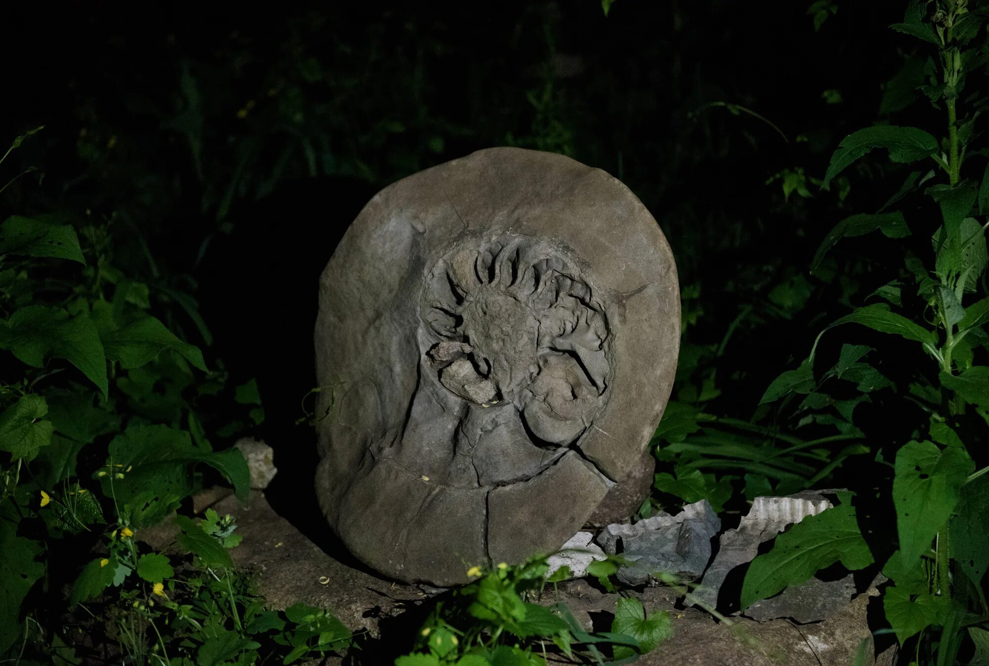 Наука докапывающаяся до сути. Наука докапывающаяся до сути. Монстр из фильма докопаться до сути 2014. Монстр из фильма докопаться до сути 2014. Докопаться до сути (2014) постер.