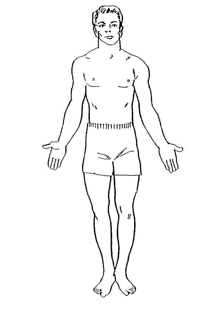 Тело скопировать. Туловище человека. Контур тела человека. Тело человека в полный рост. Схематичный рисунок человека в полный рост.