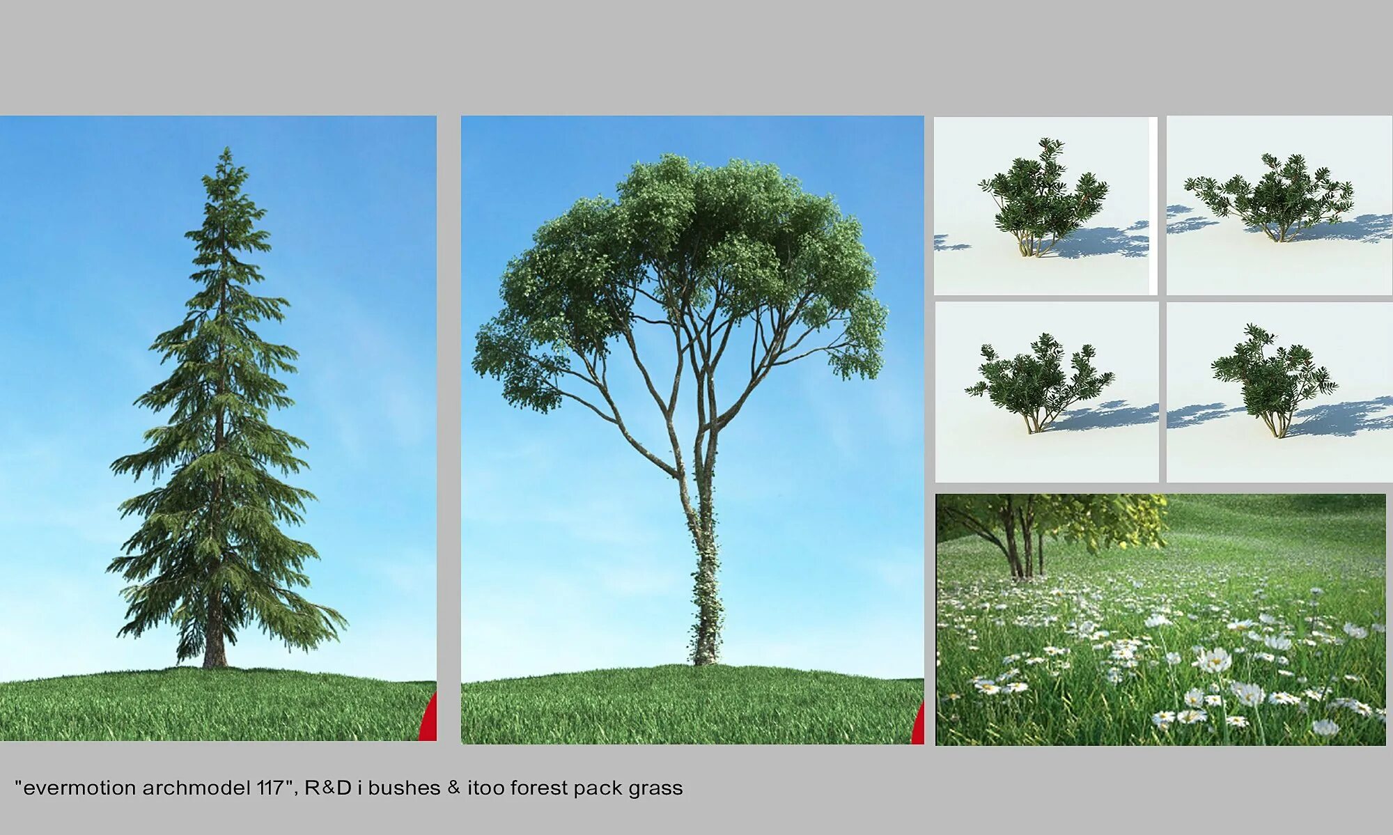 Itoo forest
