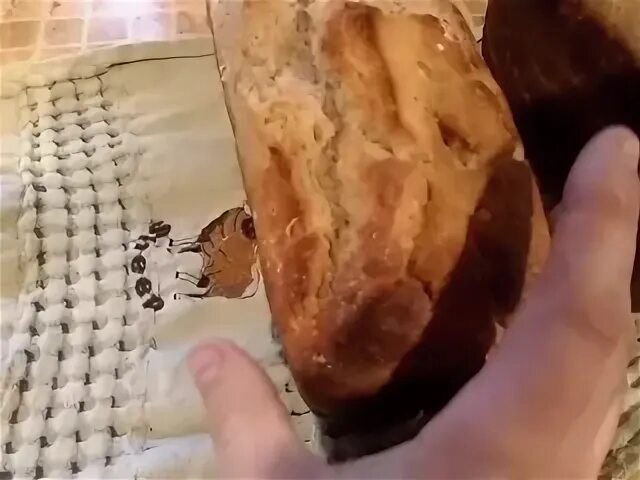 Хруст булки. Булкохрусты. мемы про хруст французской булки. песня французские булочки.