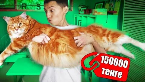 Дағыстандық секс