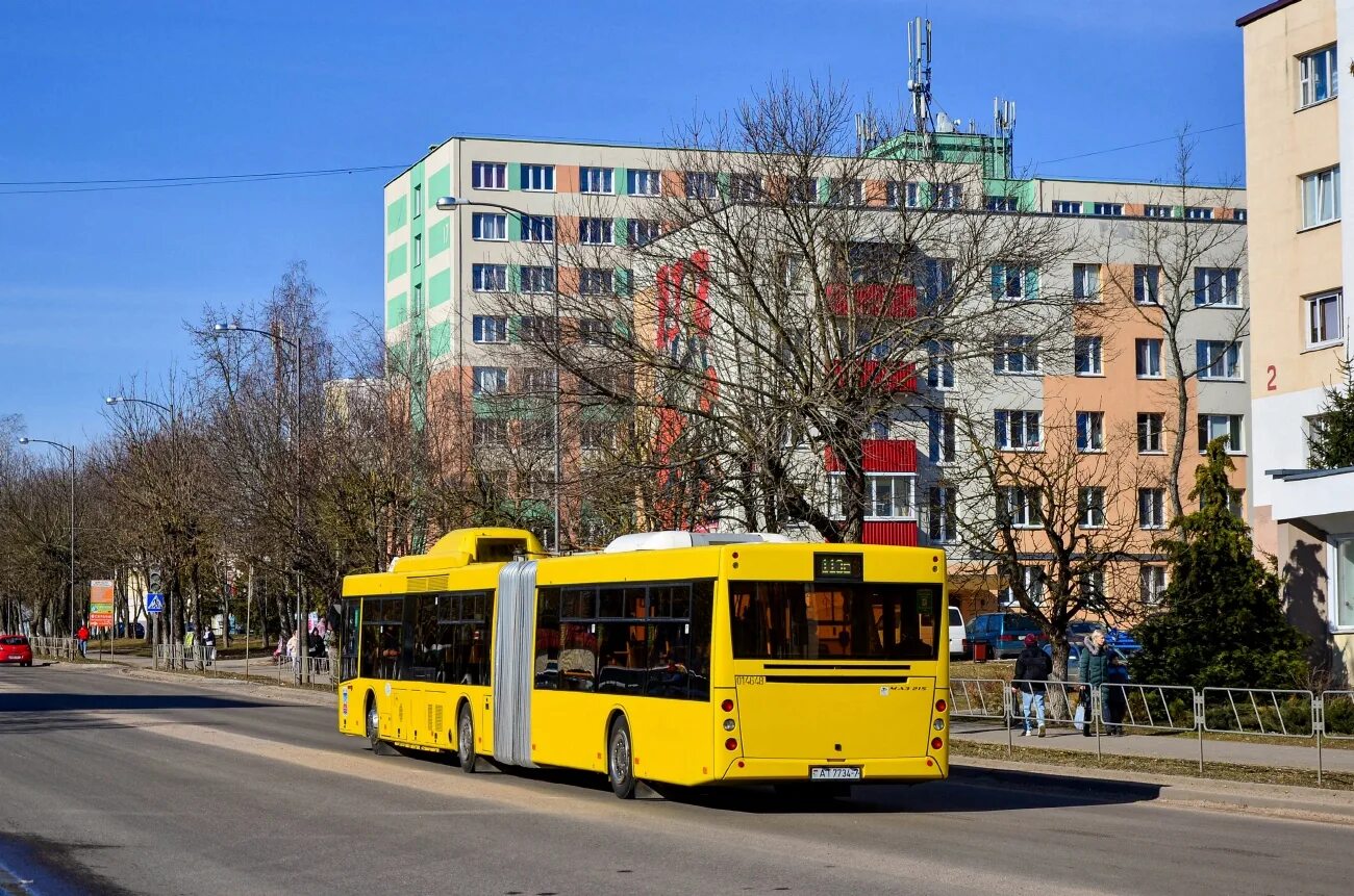 Минские маршрутки. МАЗ 215. Автобусы России. Минский автобус. Автобус МАЗ фото.