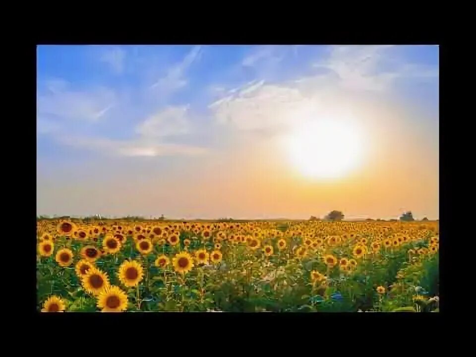 Примеры дружбы народов живущих на земле кубани. Проект на тему истоки родной кубани. На кубани мы живем на родной. Презентация на тему кубань. На кубани мы живем картинки.