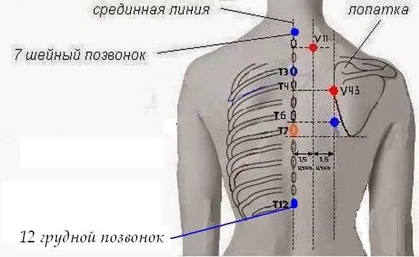 Где находится 11
