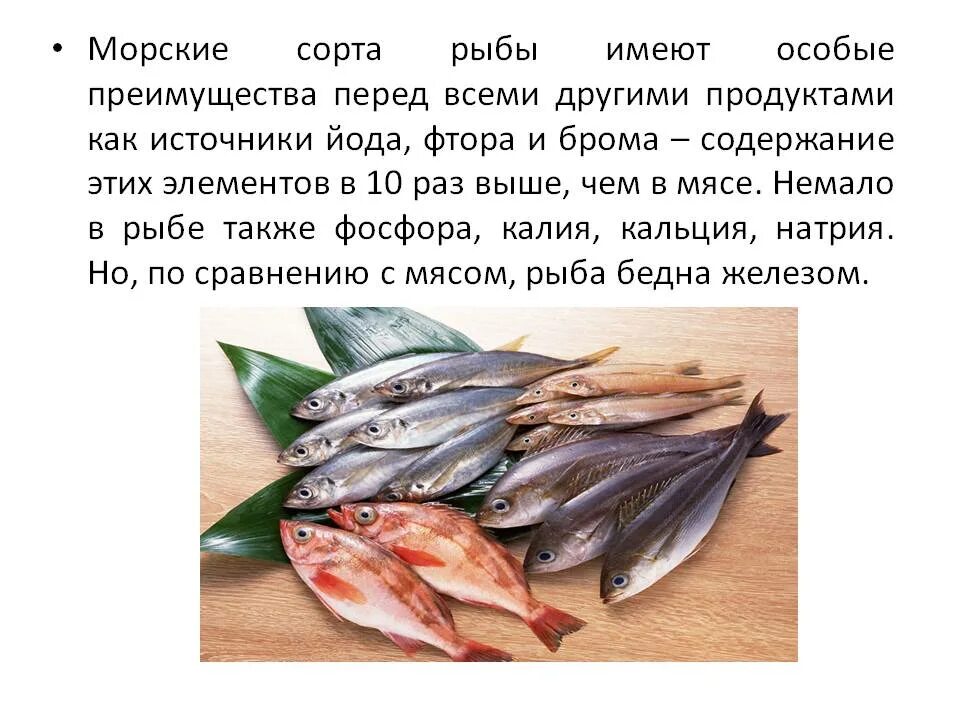 Жирные сорта рыбы. Разделение тела рыб. Сорта морской рыбы список. Нежирные сорта рыбы. Рыба имеет белок.