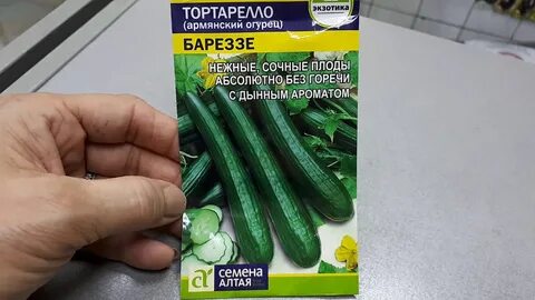 Армянский сорт огурцов