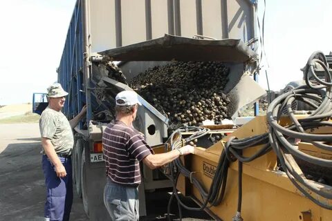 Подслушано в долгоруково липецкой