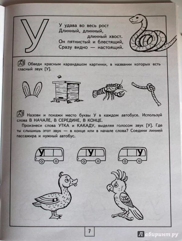 Грамота звук средняя группа. Звук у задания для дошкольников 4-5 лет. Задания для детей звук а. Задания на звук с. Знакомимся с буквой в для дошкольников.