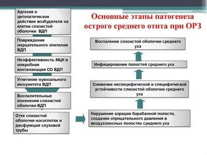 Действие возбудителя