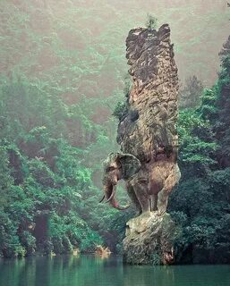 Какое животное напоминает скала