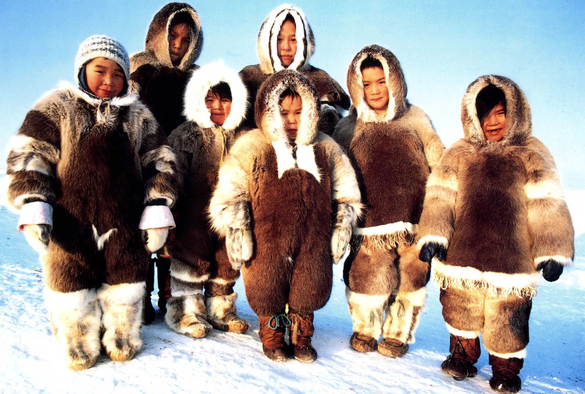 Житель иглу. Эскимосы инуиты. Кухлянка Эскимосы. Инуиты канадского арктического архипелага. Алеуты Аляски.