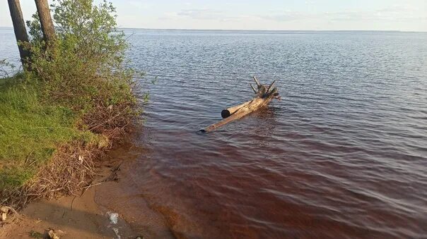 Подслушано в рыбинске в контакте свежие. Подслушано в Рыбинске. Состояние берега на Рыбинском водохранилище в конце апреля. Подслушано в Рыбинске в Заволжье 1. Подслушано в Рыбинске 9 сентября 2021.