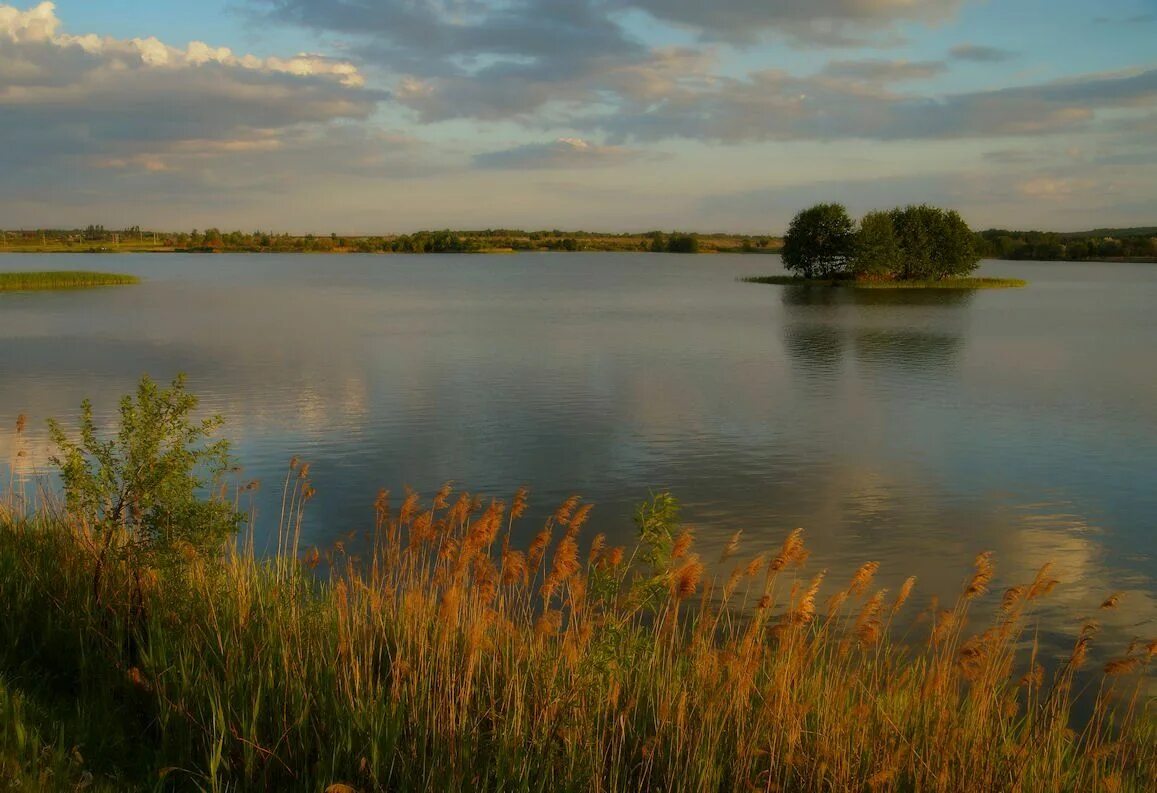 На курском водохранилище. Курское водохранилище щетинка. Курчатовское море Курская область. Курское море (Курчатовское водохранилище). Курчатовское озеро.