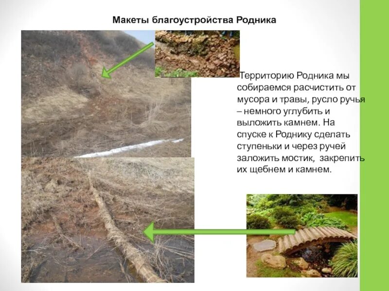 Поставь родники
