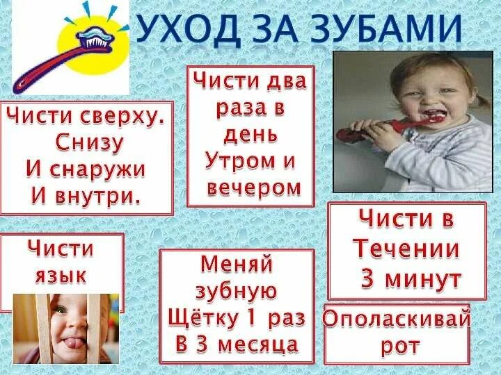 Зубы нужно чистить в день