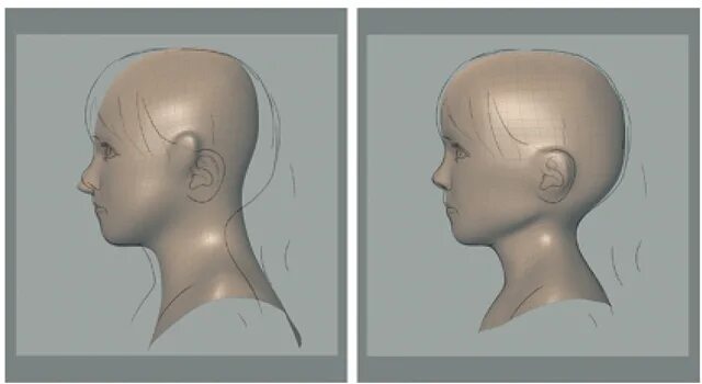 Small head. Human head Front profile proportions. Серебряная голова человек. Doll head proportions. Small head на русском