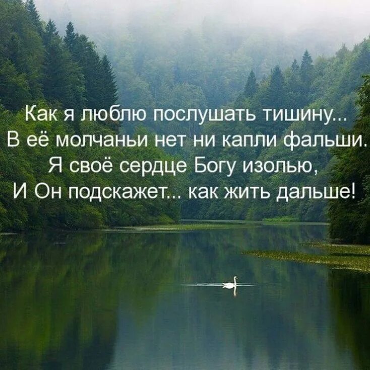 Слушая тишину стихи. Высказывания о природе. Тишина цитаты. Цитаты про тишину и природу. Цитаты про тишину со смыслом.