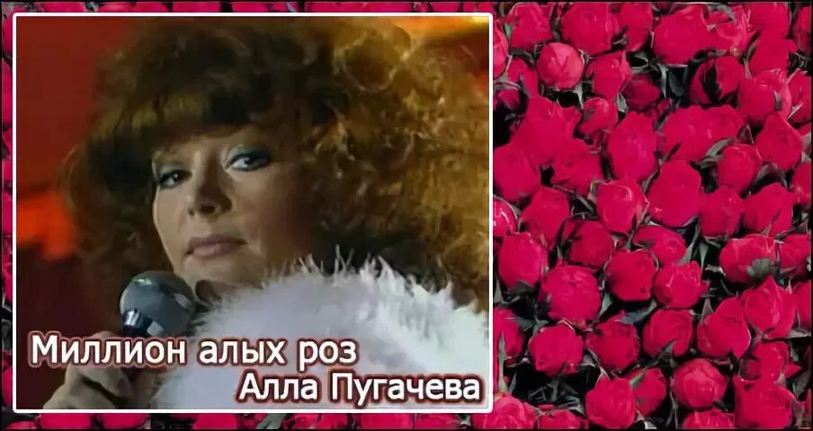 Пугачева 1988 миллион роз. Пугачева 1982 миллион алых роз. Песня миллион алых роз пугачева слушать. Песня миллион алых роз пугачева слушать. Песня миллион алых роз пугачева слушать.