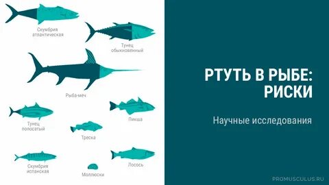 Больших количествах содержится в рыбе