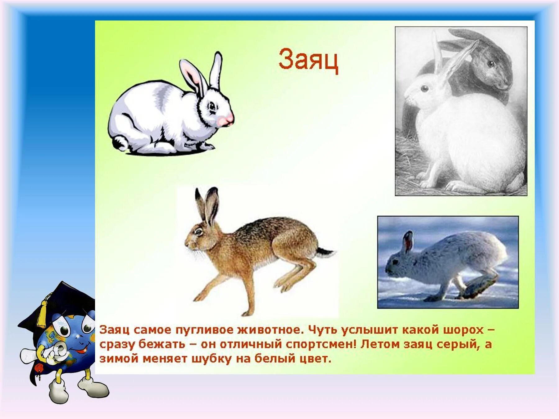 Как живут животные 1 класс конспект урока. Как живут животные 1 класс конспект урока. Как живут животные. Как живут животные 1 класс конспект урока. Как живут животные 1 класс окружающий мир презентация.