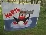 Флаг отряда