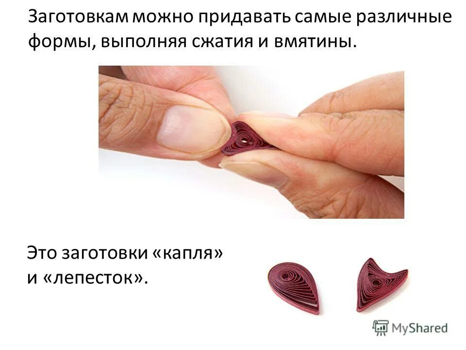 стрелка лепесток. заготовка. туя брабант ниваки. что такое квиллинг определение. стрелка лепесток.