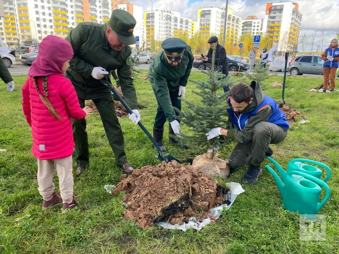 Посадили дерево победы. Высадка деревьев в лесу. Миллион деревьев фото. Акция дерево. Высадка деревьев акция 2023.