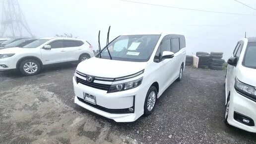 Машины авторынок зеленый угол. Автозаказ25 авто из японии. Логотип японского авто из японии. Логотип авто япония. Логотипы японских автомобилей.