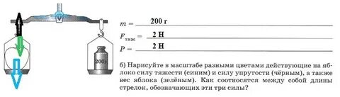 Изобразите на рисунке вес яблока и действующую