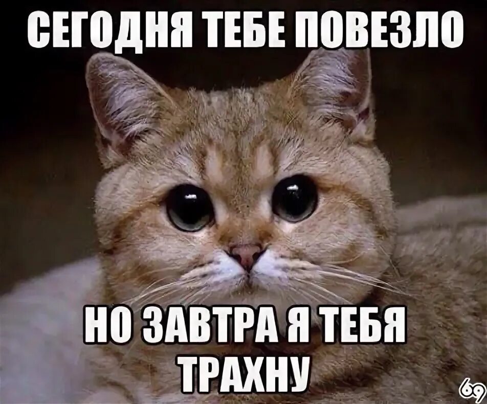 Мем давай мой хороший ты сможешь Публикации NAK Страница 49 Форум  Выбор моторных масел, трансми