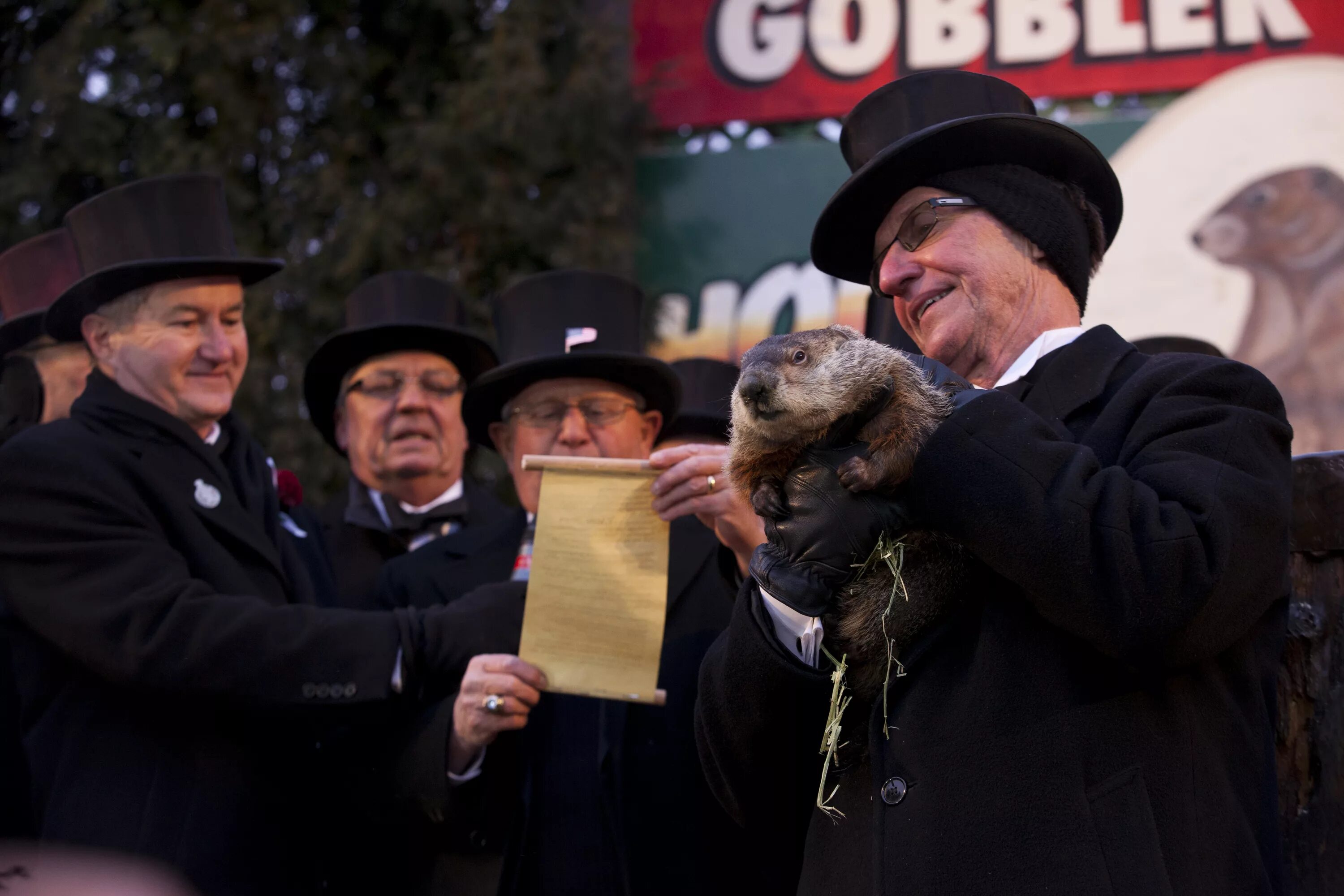 Суть дня сурка. Punxsutawney Phil. Groundhog Day праздник. Панксатонский Фил сурок. Панксатони день сурка.