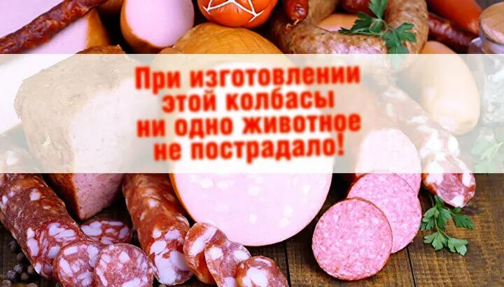 В колбасе есть мясо. Вместо колбасы. Шутки про колбасу. При изготовлении колбасы ни одно животное не пострадало. Фальшивая колбаса.