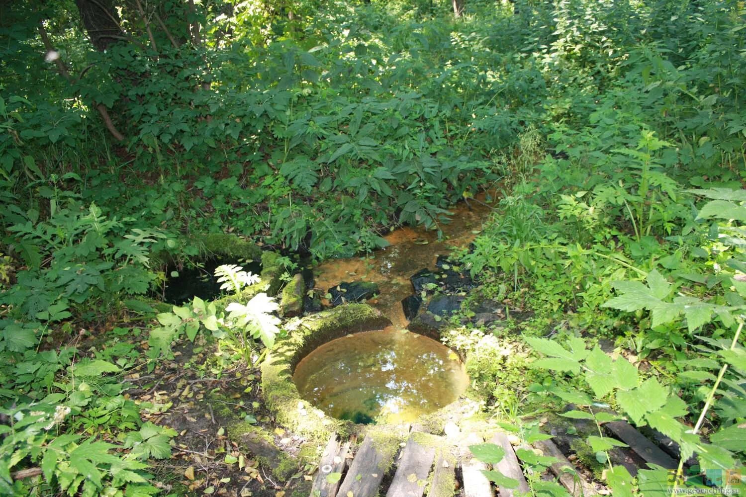 Род родник. Родник живой и мертвой воды в Торжке. Родник живой и мертвой воды ст. Шапсугская. Живой Родник Краснодарский край.