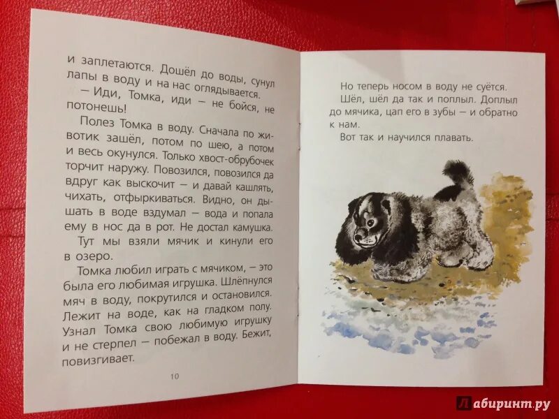 Краткое содержание рассказов чарушина