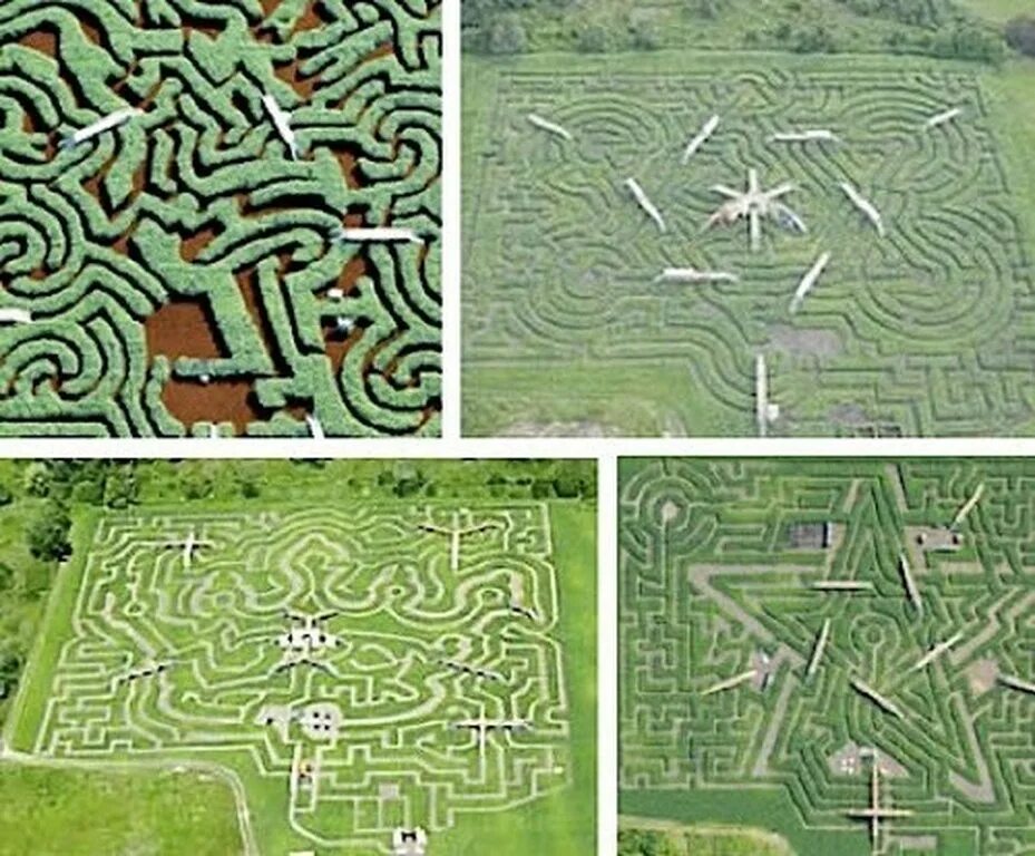 Дом лабиринт из которого невозможно выбраться. Лабиринт davis&#039; mega maze. схема лабиринта лонглит. зеленый лабиринт лонглит схема. схемы лабиринтов с птичьего полета.