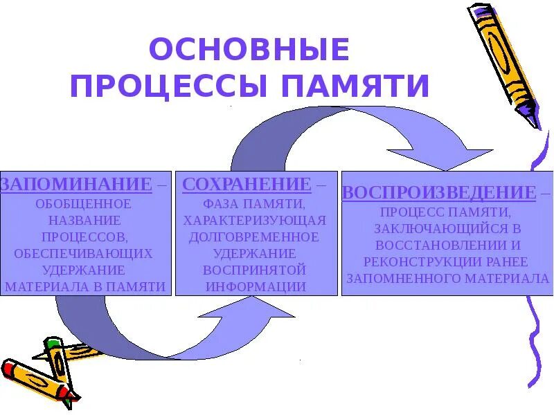 Процессы памяти человека. Основные процессы памяти. Перечислите процессы памяти. Перечислите основные процессы памяти. Укажите основные процессы памяти.