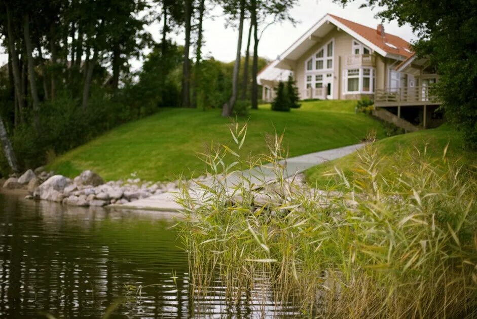 водоемы в ландшафте. поселок у лесного озера красногорск. пруд 20 соток. на земельном участке расположен пруд. ландшафт пруда.