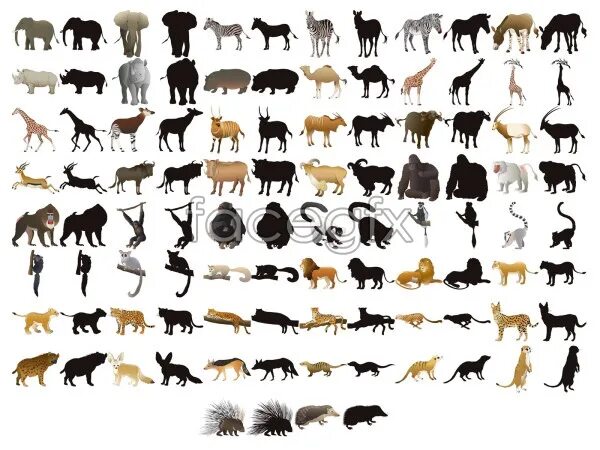 Слово в силуэте животного. Найдите 50 животных.