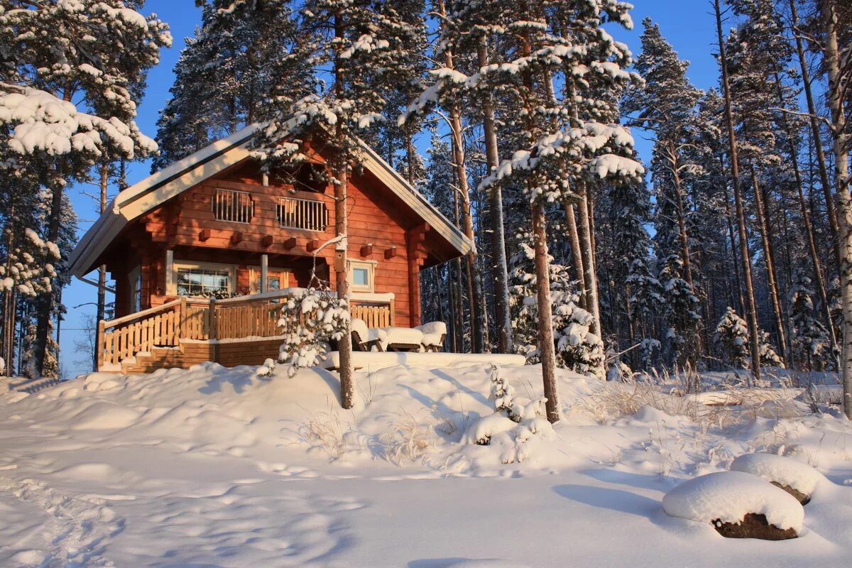домики доминик дэвисон. асташово лесной терем. терем в лесу. усадьба коломенское зимой. живопись - доминик дэвисон.
