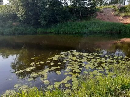 Река оредеж рыбалка