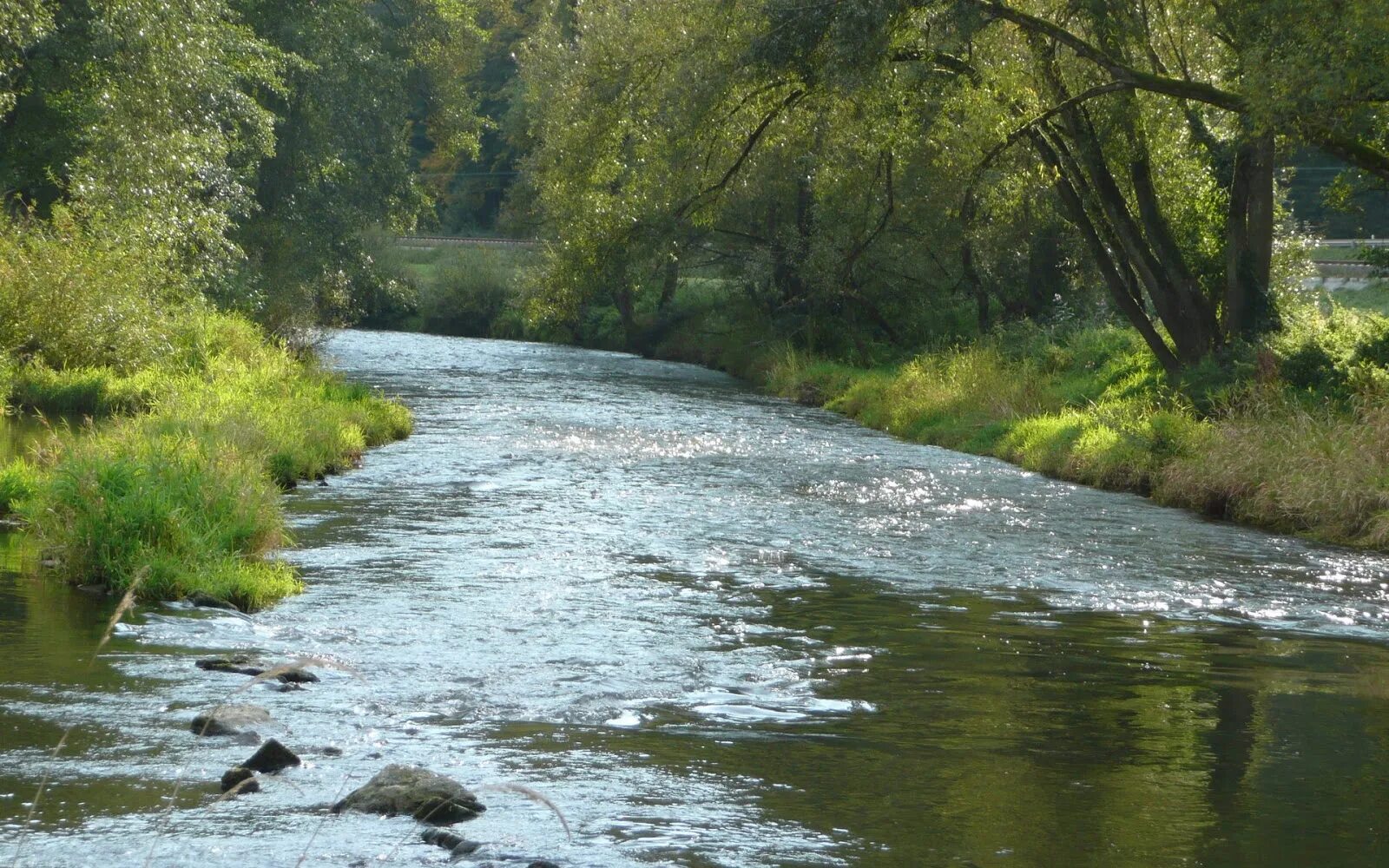 Река Заале. Река Заале Бавария. Река Сухайля. Река Явонь. Река протекает через озеро