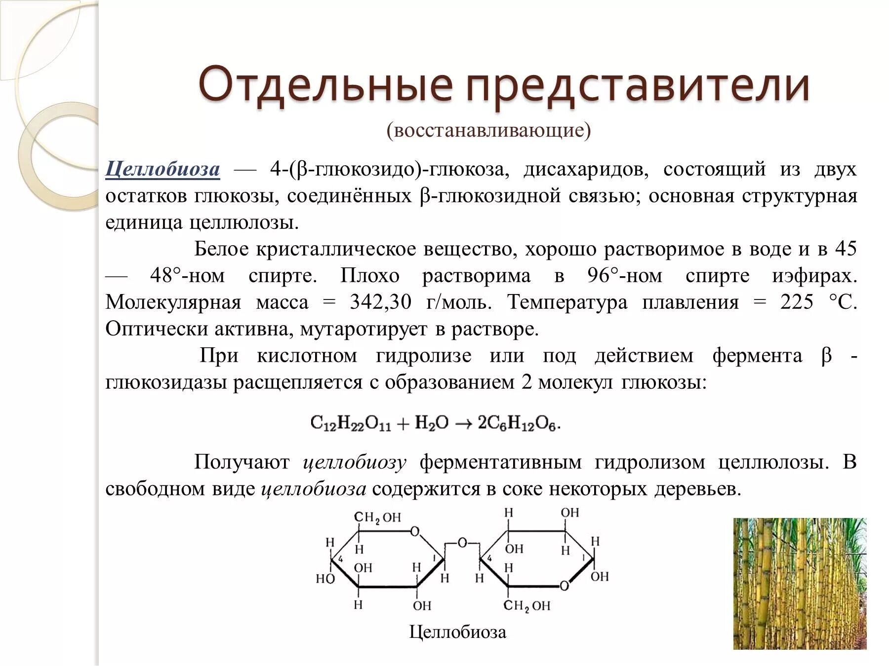 Мономер Целлобиозы. Целлобиоза это олигосахарид. Целлюлоза целлобиоза Глюкоза. Восстанавливающие дисахариды целлобиоза. Физические свойства гидролиза