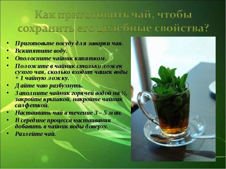 Мята польза для человека. Зеленый чай. Полезные качества зеленого чая. Чай с мятой полезен?. Полезные свойства чая с мятой.