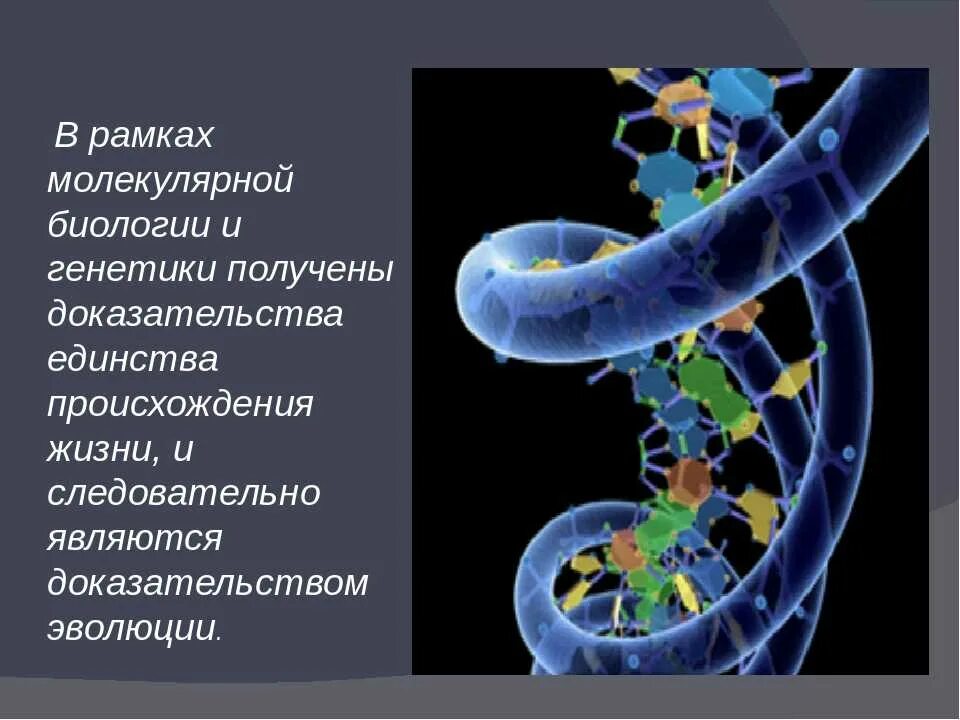 Молекулярно-генетические и биохимические доказательства. Молекулярные доказательства эволюции. Молекулярно-генетические свидетельства. Доказательства молекулярной биологии. Наследственная информация растений