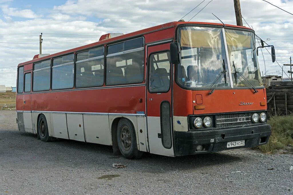 46 1 автобус. Икарус 256.54. Икарус 256 59. Икарус 256 Барнаул. Икарус 256.75.